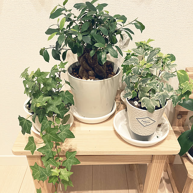 kurogomaさんの実例写真