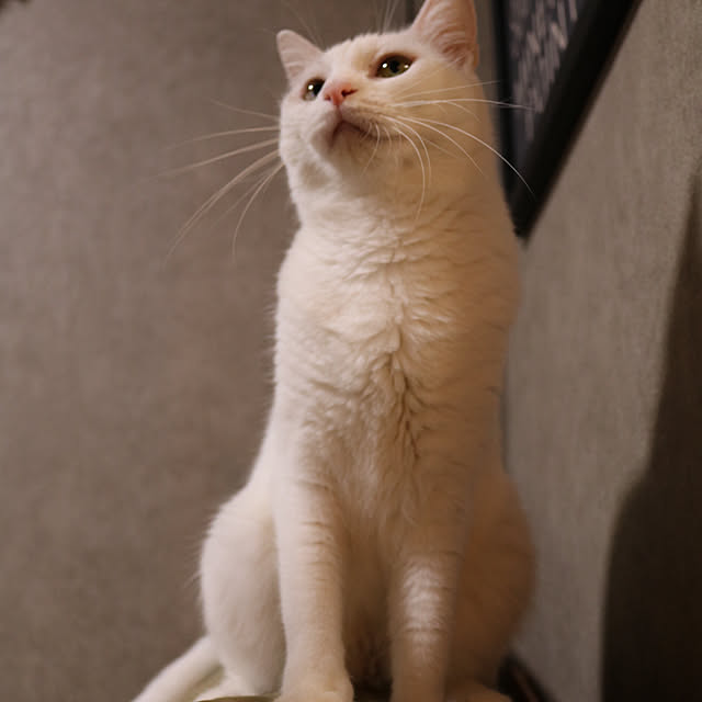 keiさんの部屋