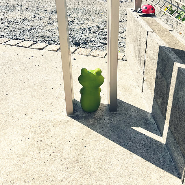 izuharuさんの実例写真