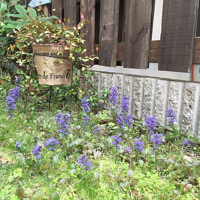 MAKIさんの実例写真