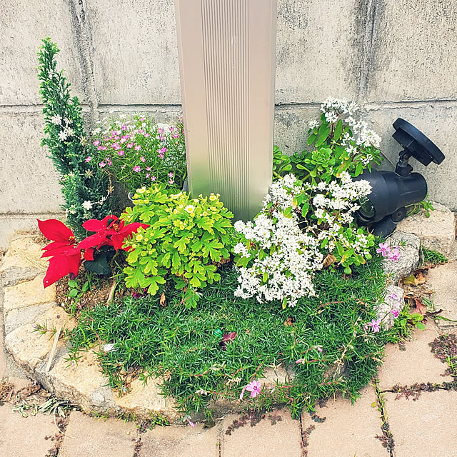 miniさんの実例写真