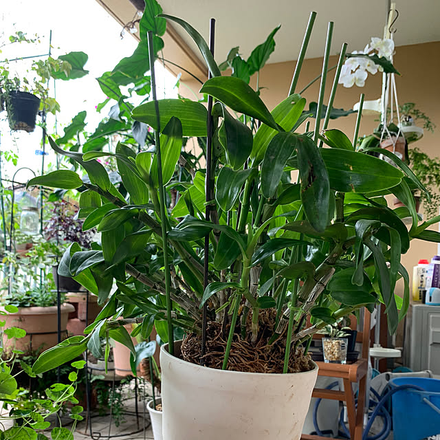 Aqettyさんの部屋