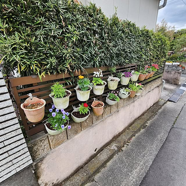 fuchan0930さんの実例写真