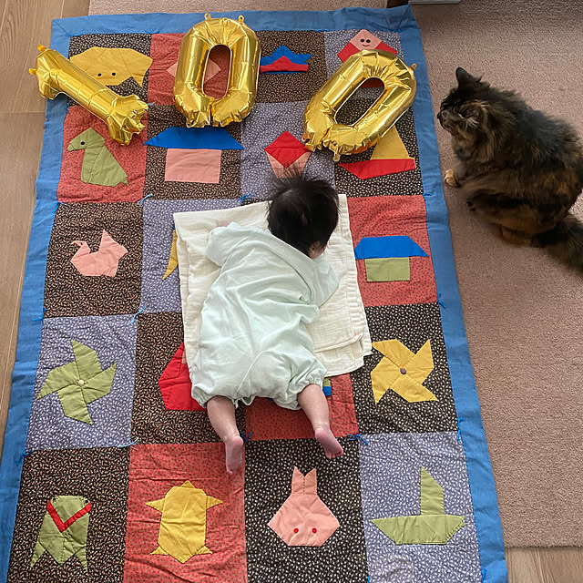 mikomaruさんの実例写真