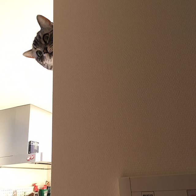 mikomaruさんの実例写真
