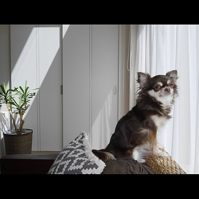 emibeiさんの実例写真