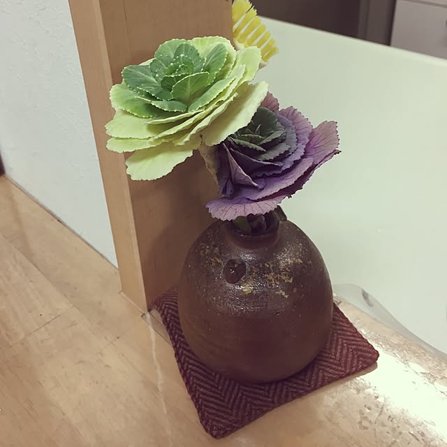 キッチン/お正月のなごり…まだ、元気。/100均/雑貨/観葉植物のインテリア実例 - 2017-01-29 22:49:41