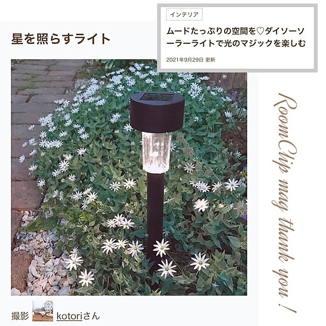 kotoriさんの実例写真
