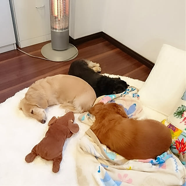 cocosorasakuさんの実例写真