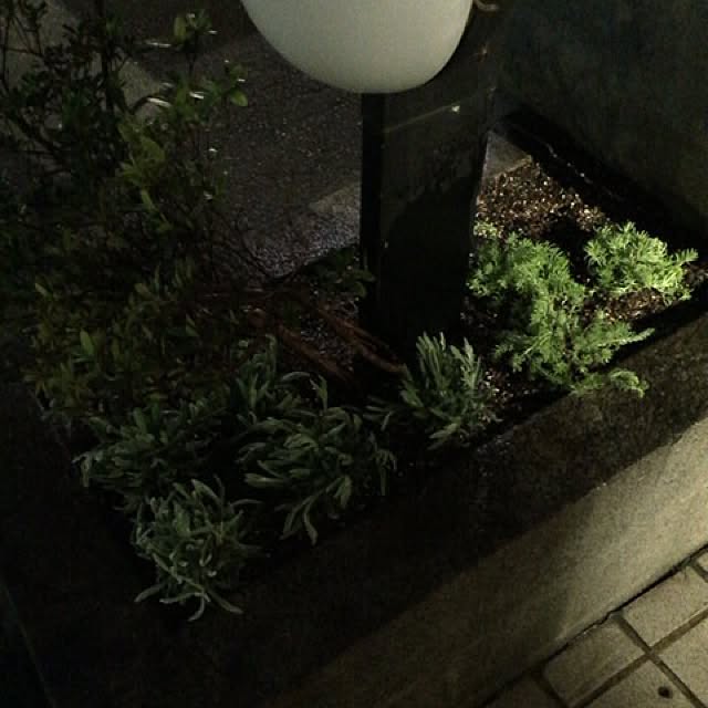 Yukiさんの実例写真