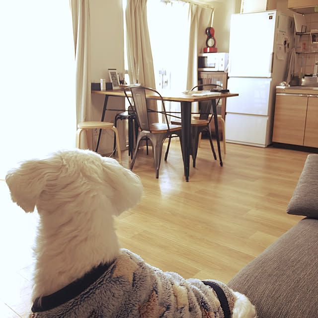 semasema.homeさんの実例写真