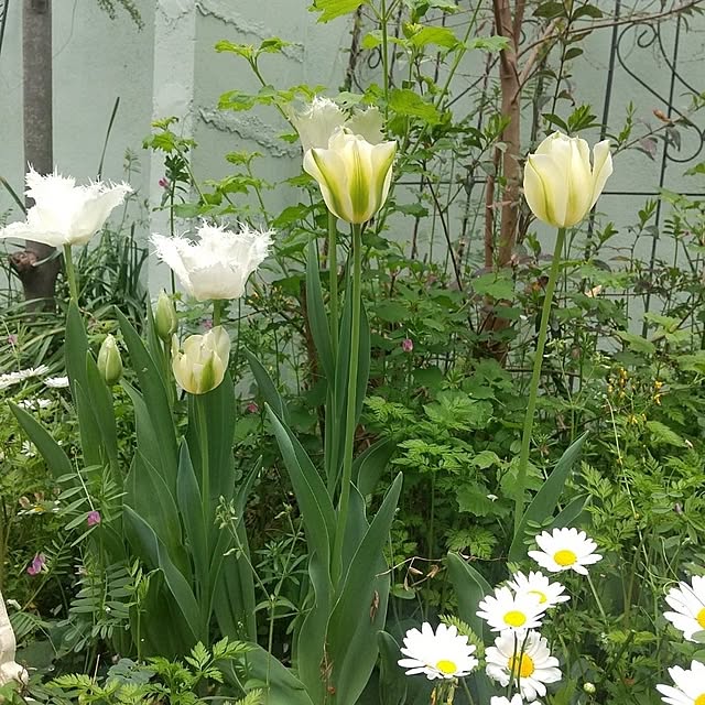 Rさんの部屋