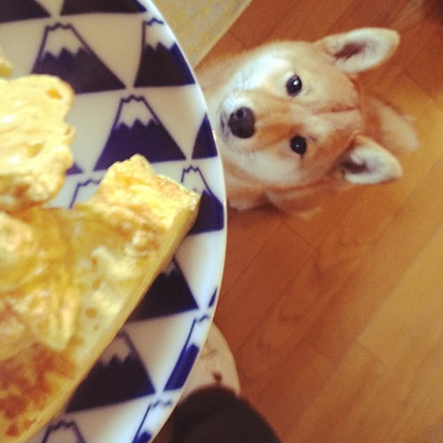 実例写真
