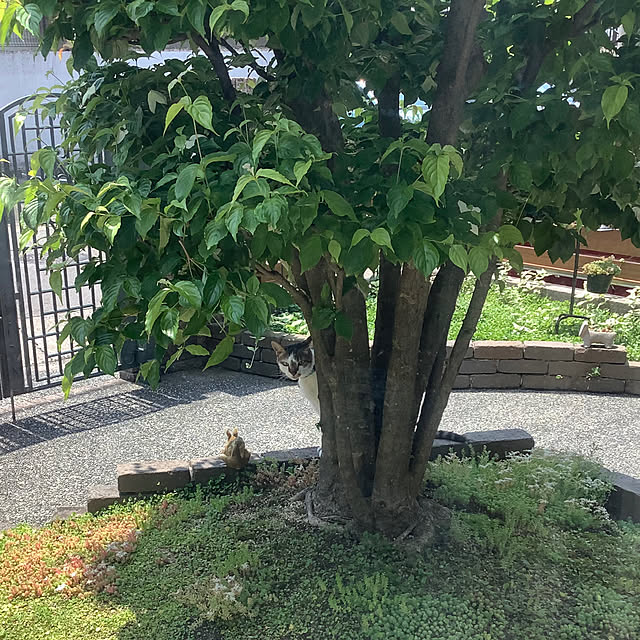 実例写真