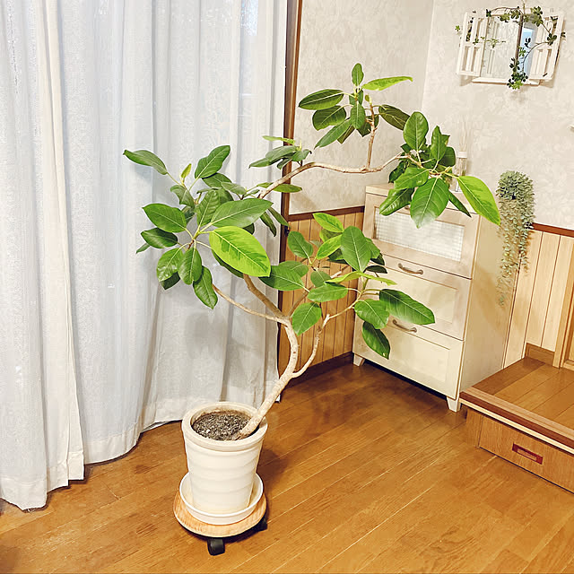 Kekoponさんの実例写真