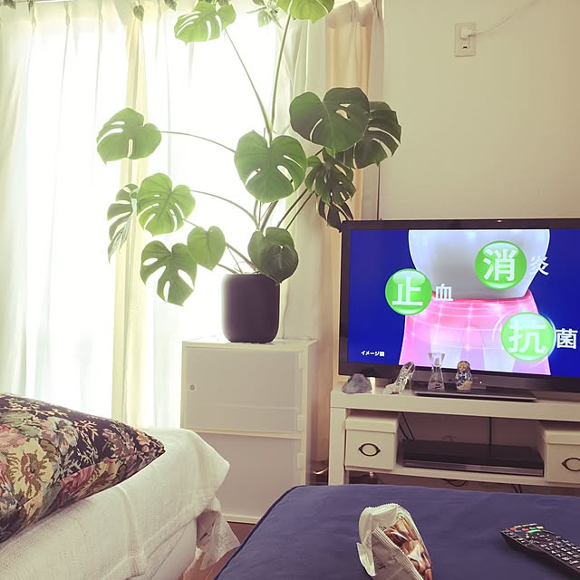 Tamakoさんの実例写真