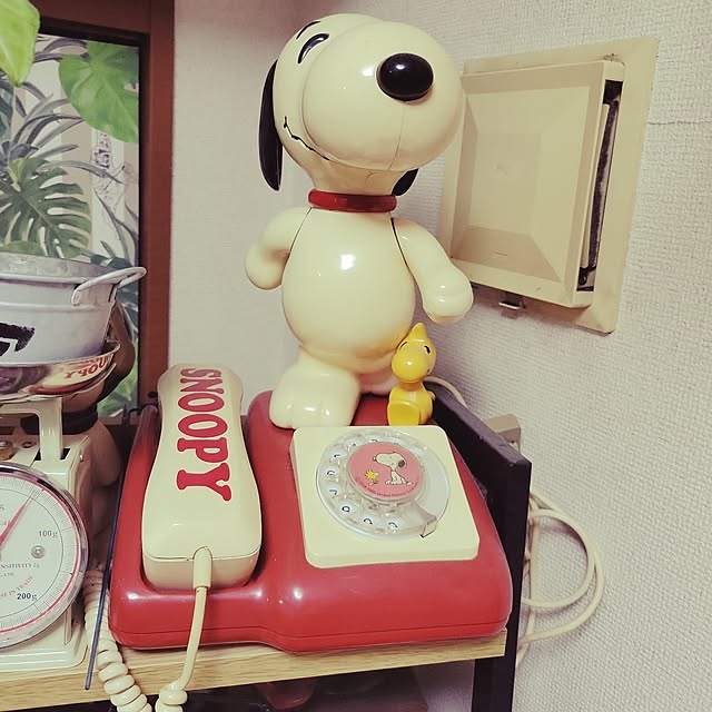 vol.3376写真