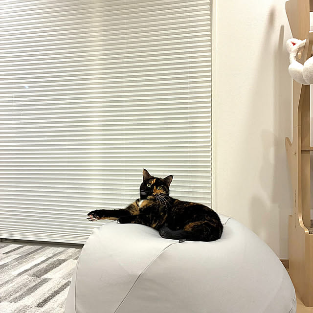 kirinsanさんの実例写真