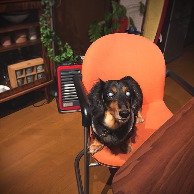 SHIMAさんの実例写真