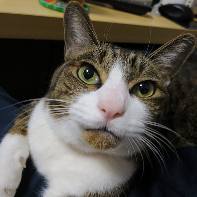 nan_tocoさんの実例写真