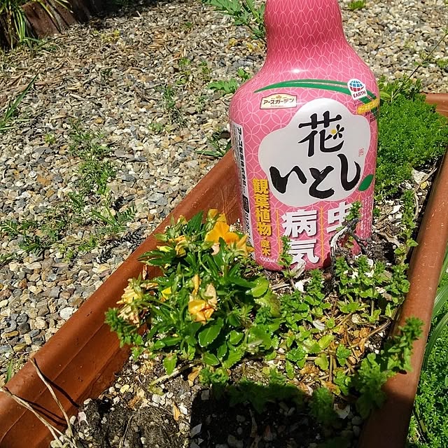 Rさんの部屋
