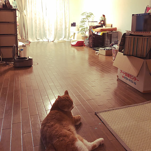 jabo_222さんの実例写真