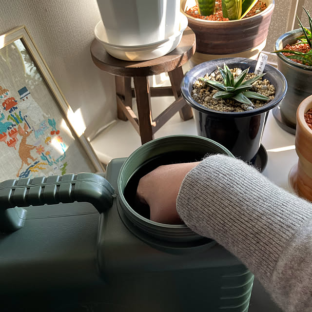koshiregutyoさんの部屋