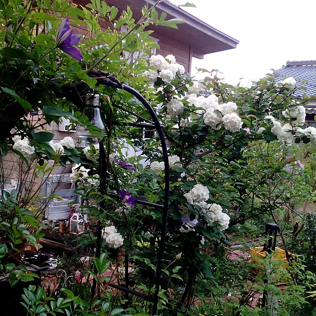 shusen.miyaさんの実例写真