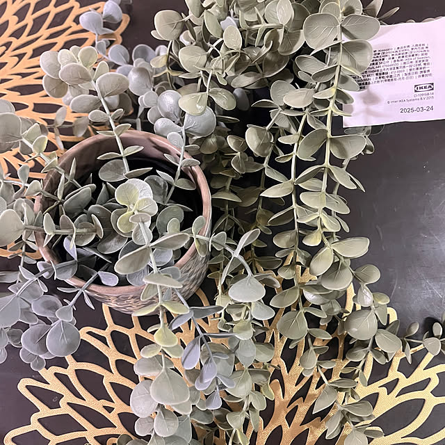 rikuerinka86さんの部屋