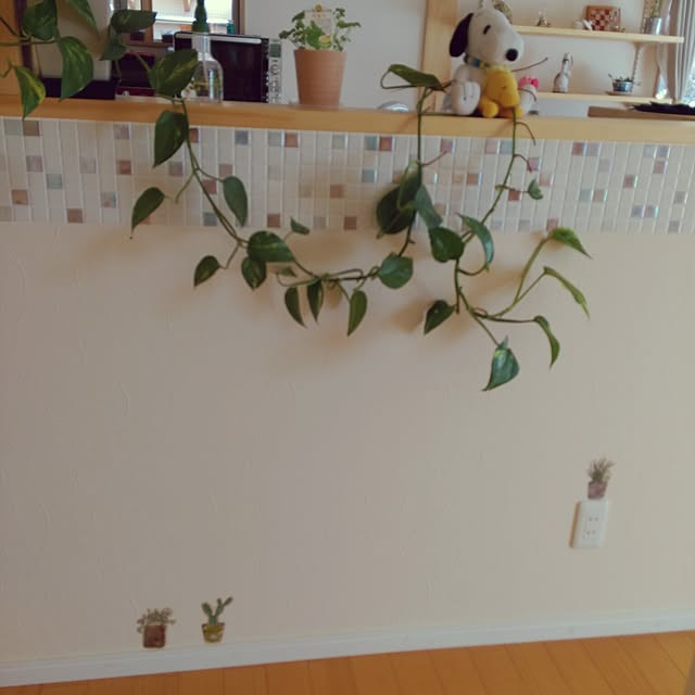 yoko.t.7354さんの実例写真