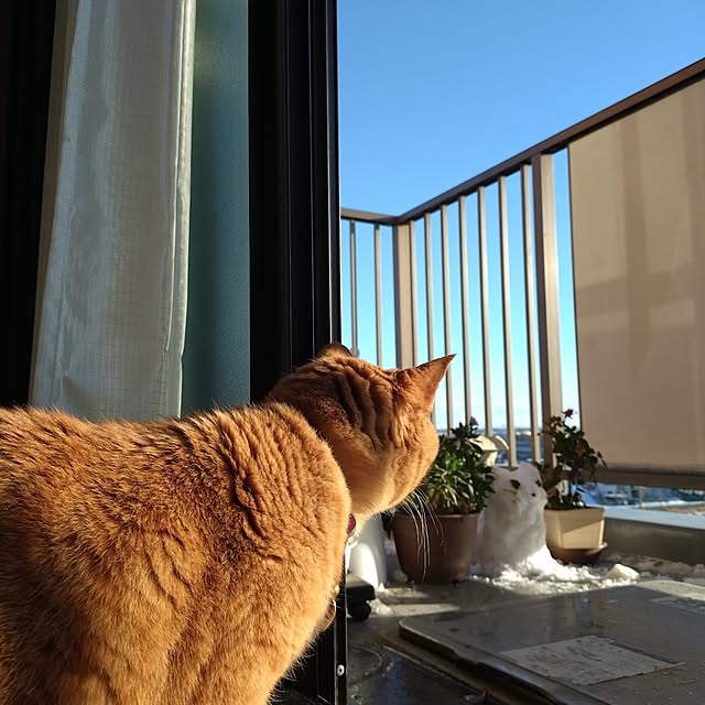 NOAHさんの実例写真