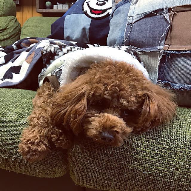 koさんの実例写真