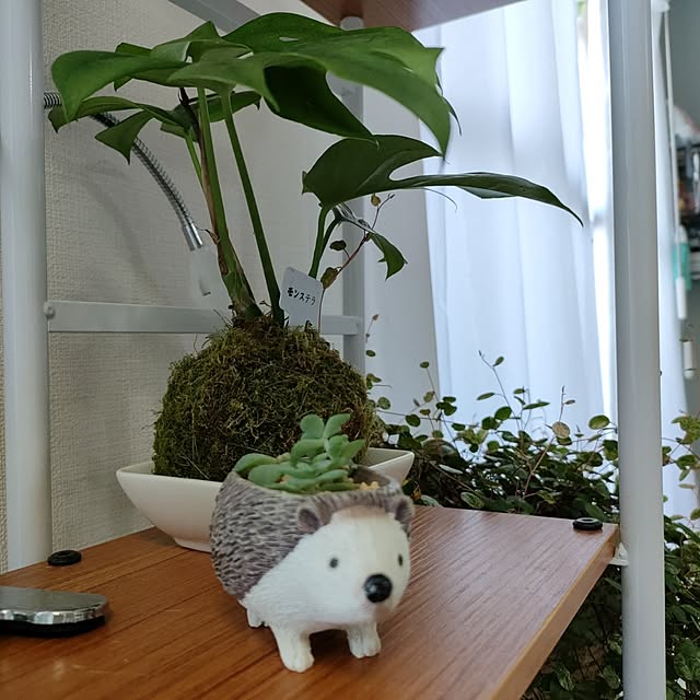 marosukeさんの実例写真