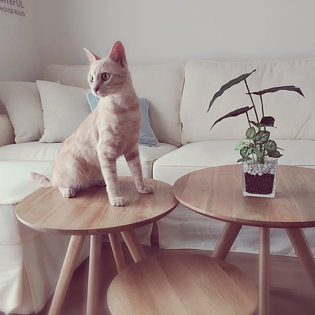 Koujiさんの実例写真