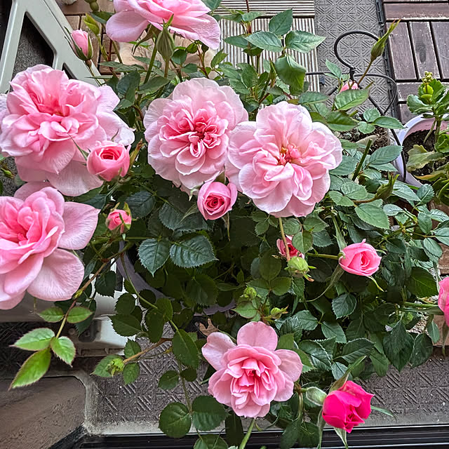 naokoさんの部屋