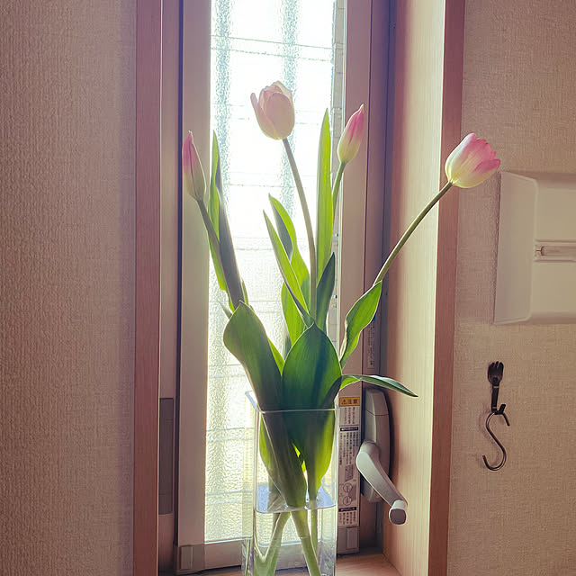 cloverさんの実例写真