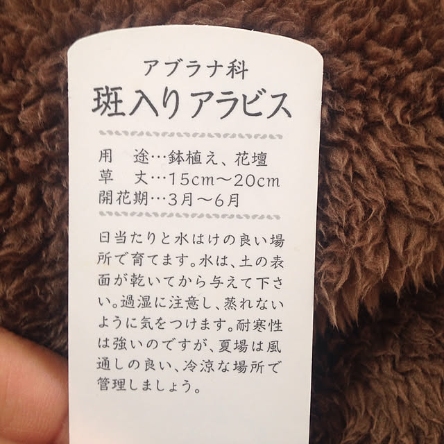 Akikoさんの実例写真
