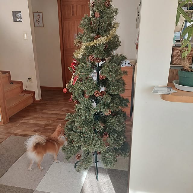 timitaさんの部屋