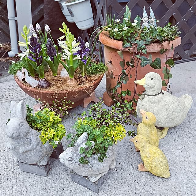 mocomocoさんの実例写真