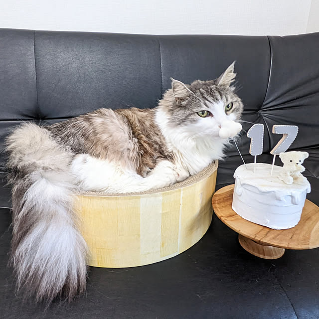 ponさんの実例写真