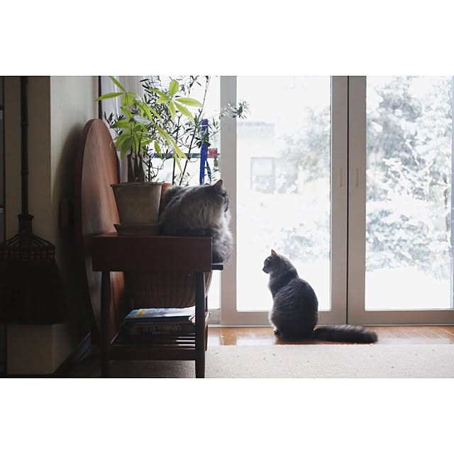 kurumin5さんの実例写真