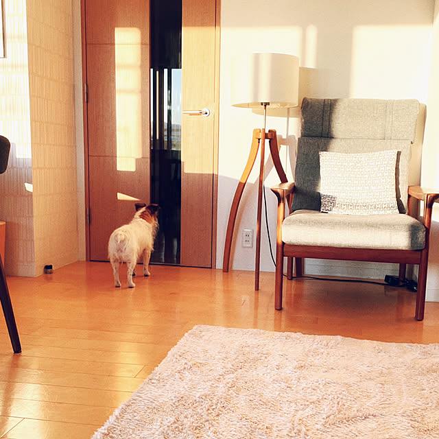 toto.ikさんの実例写真