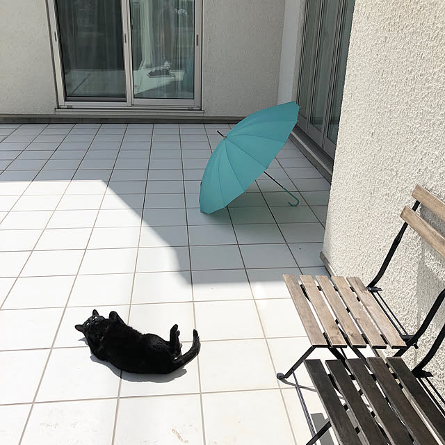 temariさんの実例写真