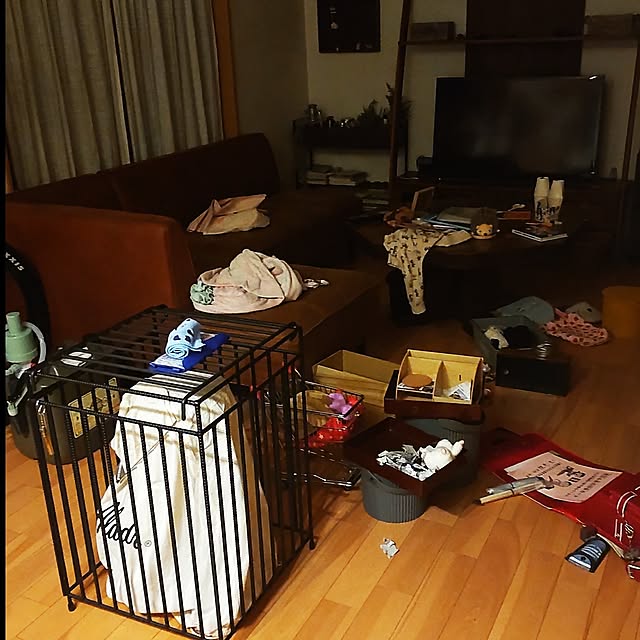 haniwaさんの実例写真