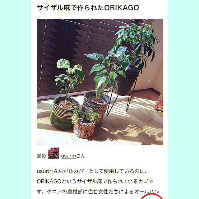 usuririさんの実例写真
