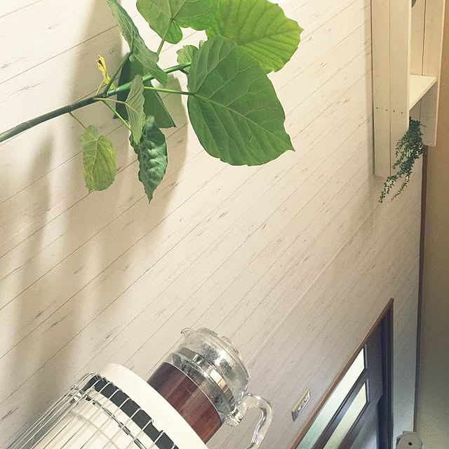 RURULOVEさんの実例写真