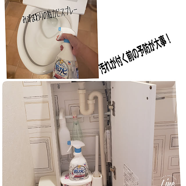 ayuさんの実例写真