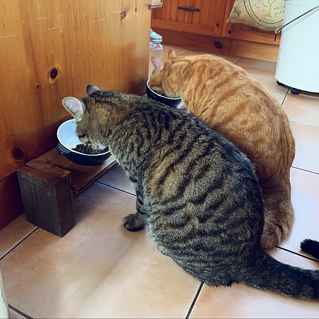 klaroomさんの実例写真