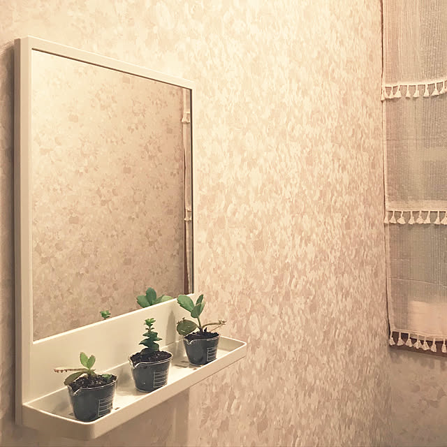バス/トイレ/ハンドメイド/ダイソー/DIY/多肉植物のインテリア実例 - 2017-10-29 22:53:01