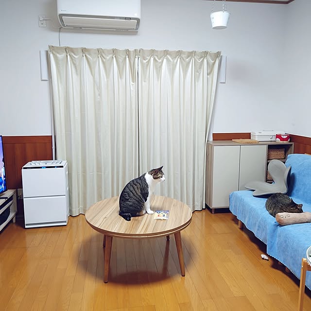 nachiさんの実例写真